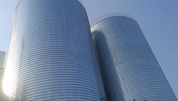 泰安2座混凝土高架卷板仓